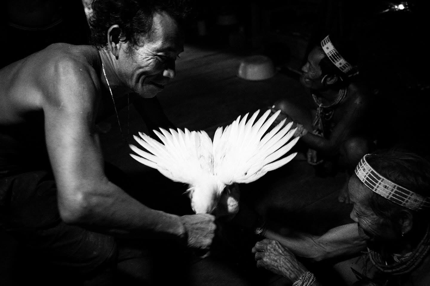 meeting the mentawai tribe