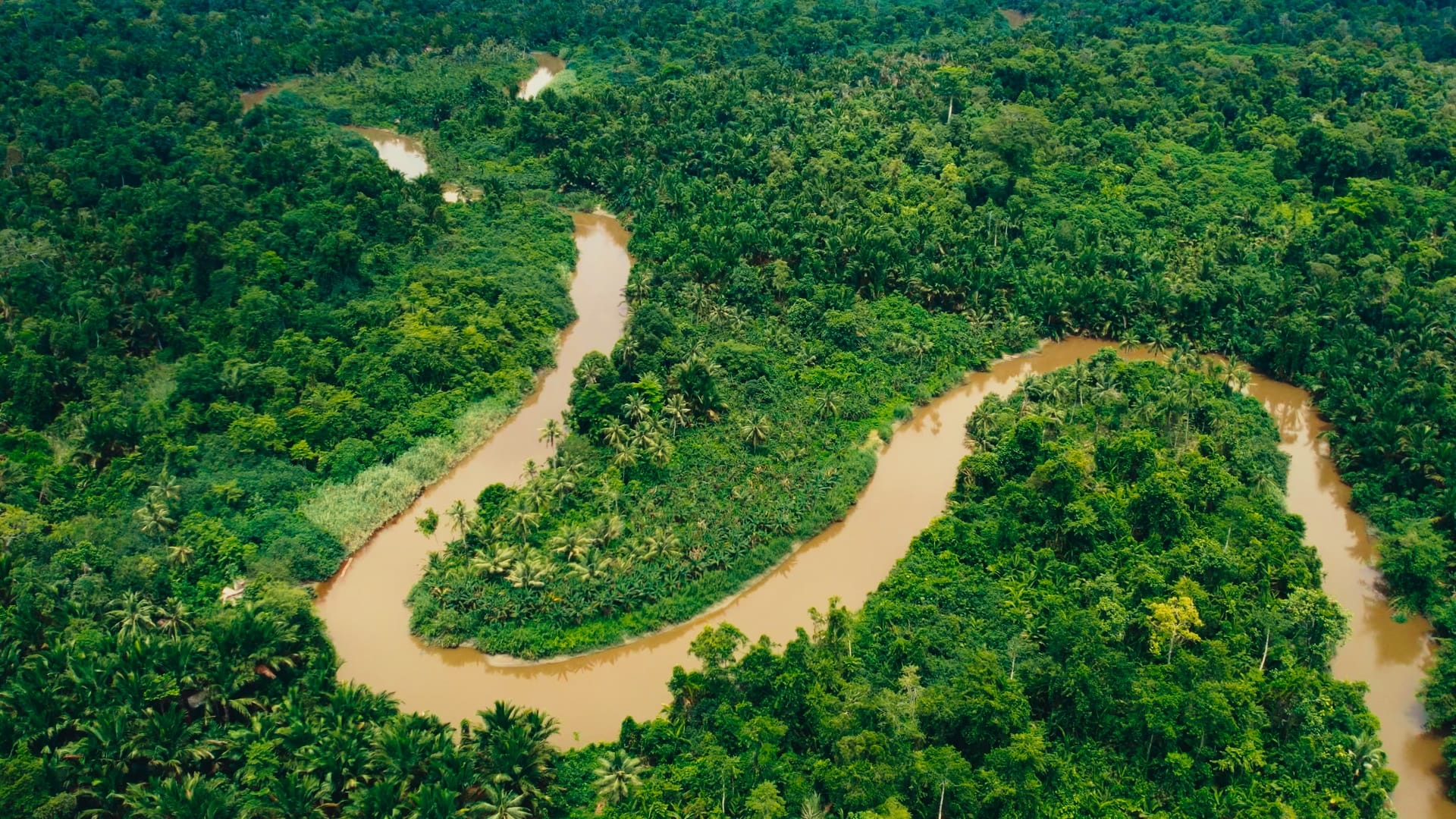 meeting the mentawai sumatra indonesian